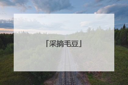 采摘毛豆